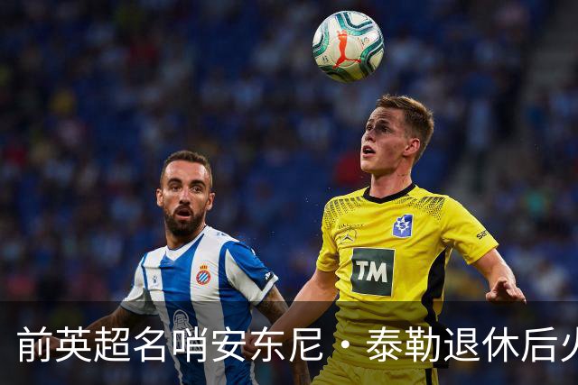 前英超名哨安东尼·泰勒退休后火速再就业，将执掌土耳其精英裁判发展大旗