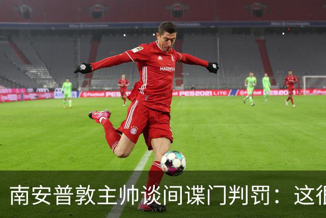 南安普敦主帅谈间谍门判罚：这很痛苦，我为授权行为道歉